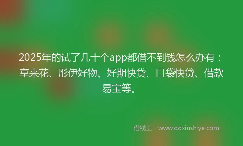 2025年的试了几十个app都借不到钱怎么办有：享来花、彤伊好物、好期快贷、口袋快贷、借款易宝等。