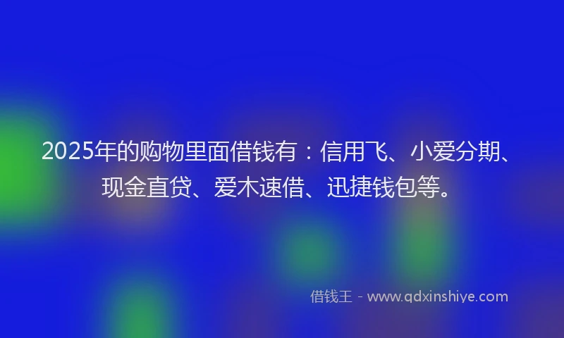 2025年的购物里面借钱有：信用飞、小爱分期、现金直贷、爱木速借、迅捷钱包等。