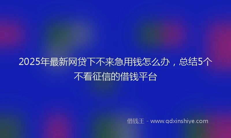 2025年最新网贷下不来急用钱怎么办，总结5个不看征信的借钱平台
