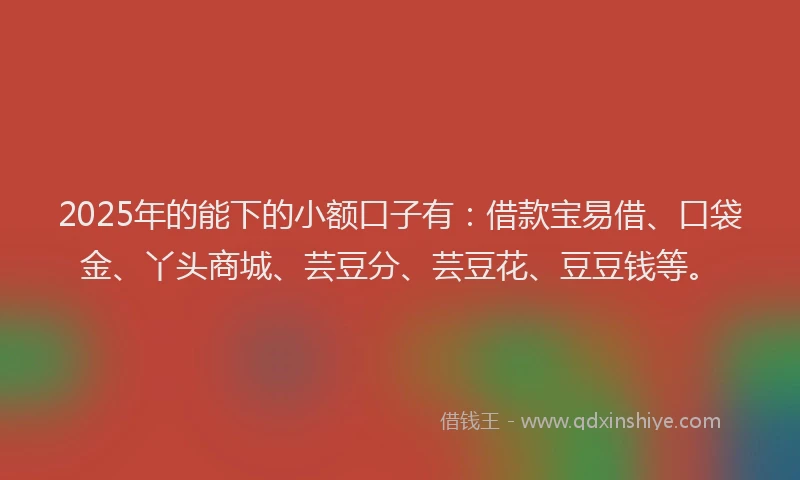 2025年的能下的小额口子有：借款宝易借、口袋金、丫头商城、芸豆分、芸豆花、豆豆钱等。