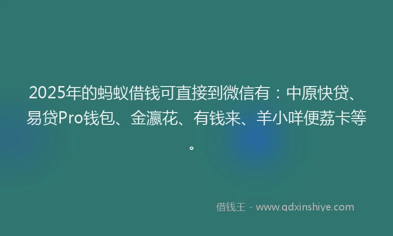 2025年的蚂蚁借钱可直接到微信有：中原快贷、易贷Pro钱包、金瀛花、有钱来、羊小咩便荔卡等。