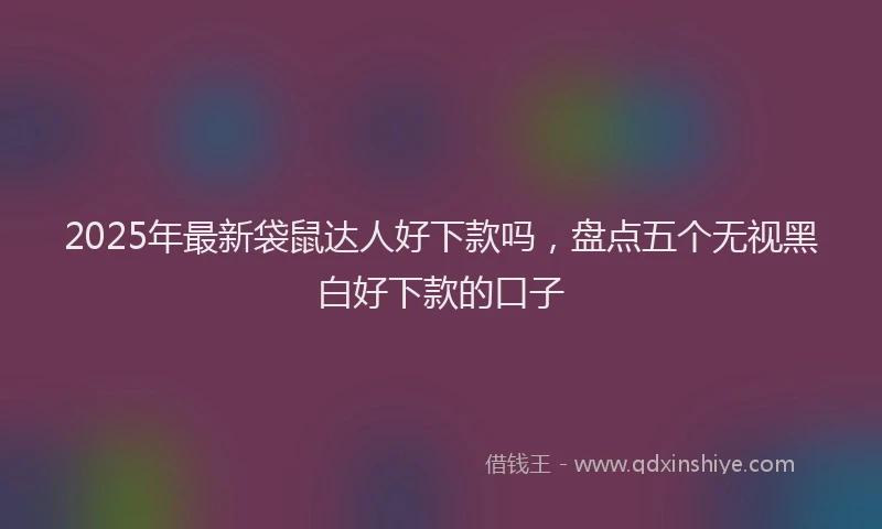 2025年最新袋鼠达人好下款吗，盘点五个无视黑白好下款的口子