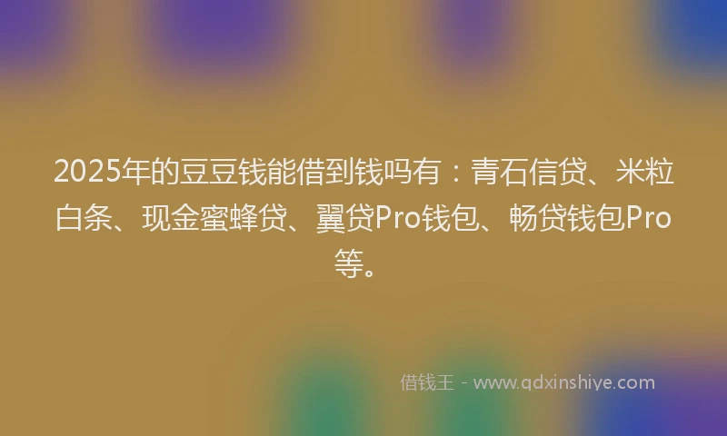 2025年的豆豆钱能借到钱吗有：青石信贷、米粒白条、现金蜜蜂贷、翼贷Pro钱包、畅贷钱包Pro等。