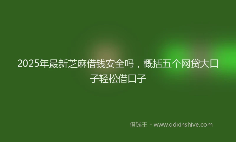 2025年最新芝麻借钱安全吗，概括五个网贷大口子轻松借口子
