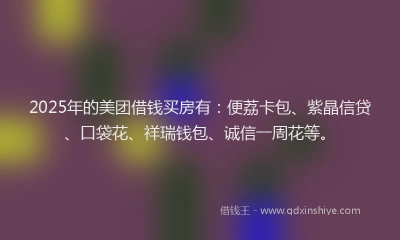 2025年的美团借钱买房有：便荔卡包、紫晶信贷、口袋花、祥瑞钱包、诚信一周花等。