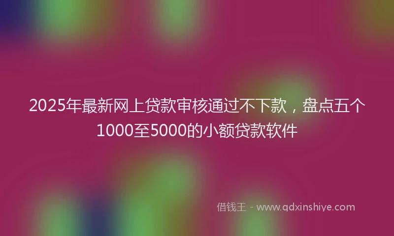 2025年最新网上贷款审核通过不下款，盘点五个1000至5000的小额贷款软件