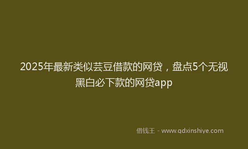 2025年最新类似芸豆借款的网贷，盘点5个无视黑白必下款的网贷app