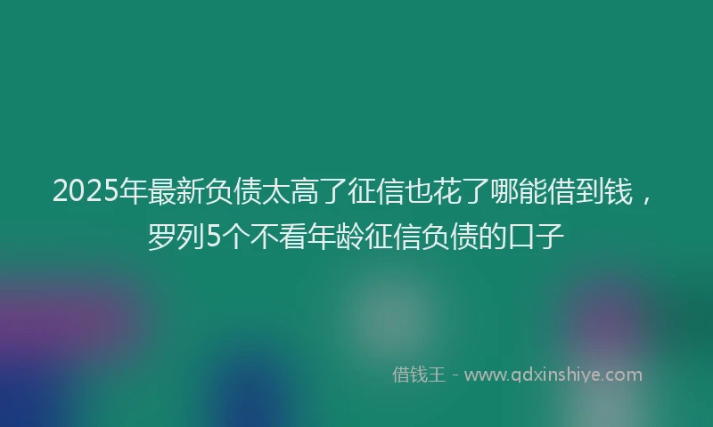 2025年最新负债太高了征信也花了哪能借到钱，罗列5个不看年龄征信负债的口子