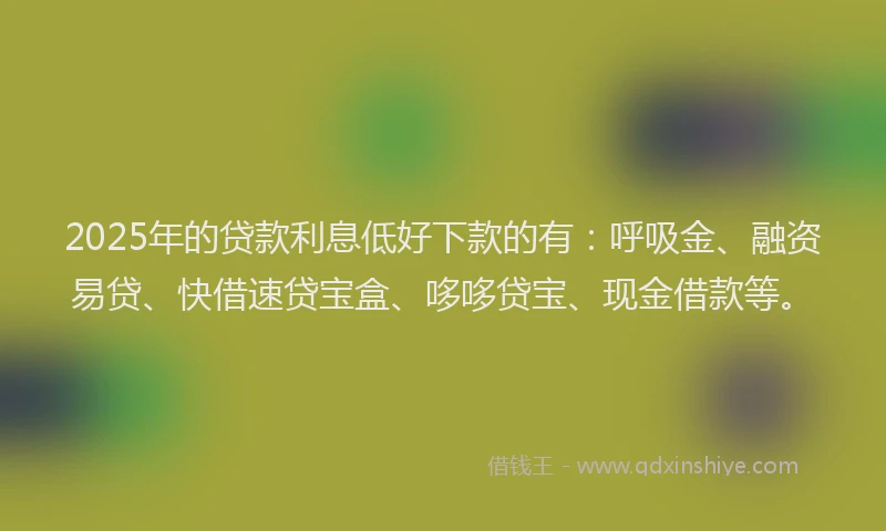 2025年的贷款利息低好下款的有：呼吸金、融资易贷、快借速贷宝盒、哆哆贷宝、现金借款等。