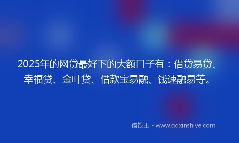 2025年的网贷最好下的大额口子有：借贷易贷、幸福贷、金叶贷、借款宝易融、钱速融易等。