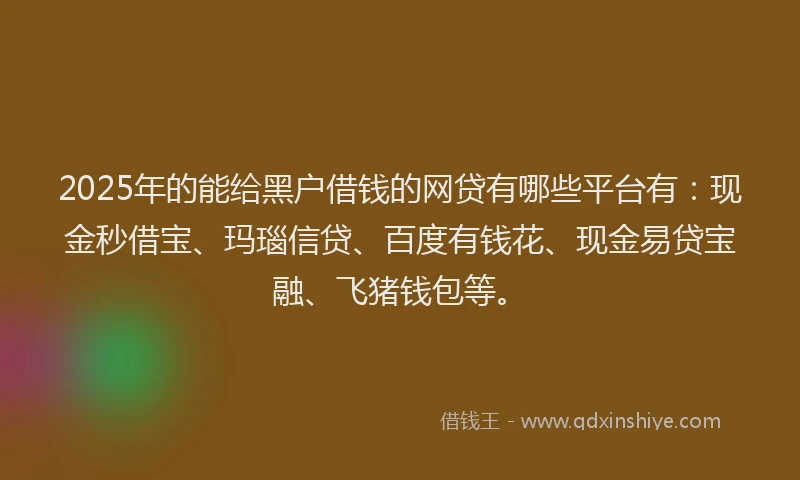 2025年的能给黑户借钱的网贷有哪些平台有：现金秒借宝、玛瑙信贷、百度有钱花、现金易贷宝融、飞猪钱包等。