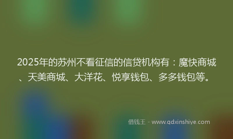 2025年的苏州不看征信的信贷机构有：魔快商城、天美商城、大洋花、悦享钱包、多多钱包等。