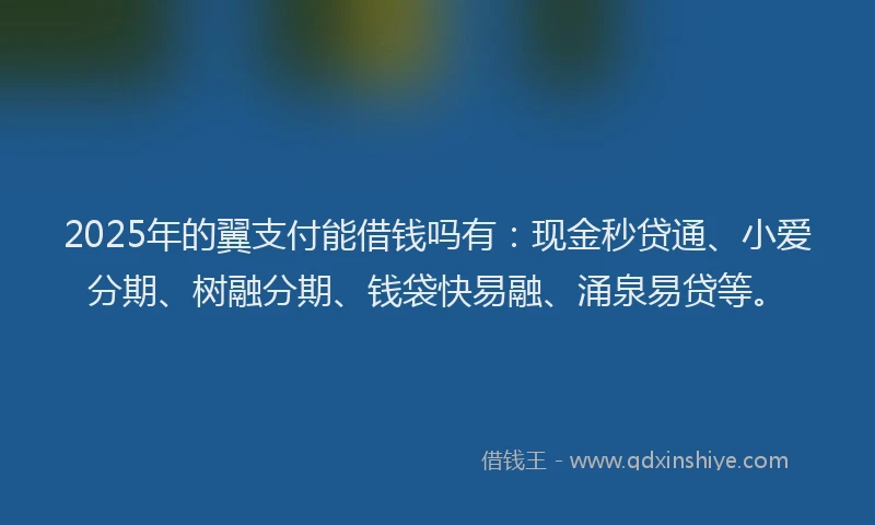 2025年的翼支付能借钱吗有：现金秒贷通、小爱分期、树融分期、钱袋快易融、涌泉易贷等。