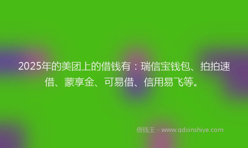 2025年的美团上的借钱有：瑞信宝钱包、拍拍速借、蒙享金、可易借、信用易飞等。