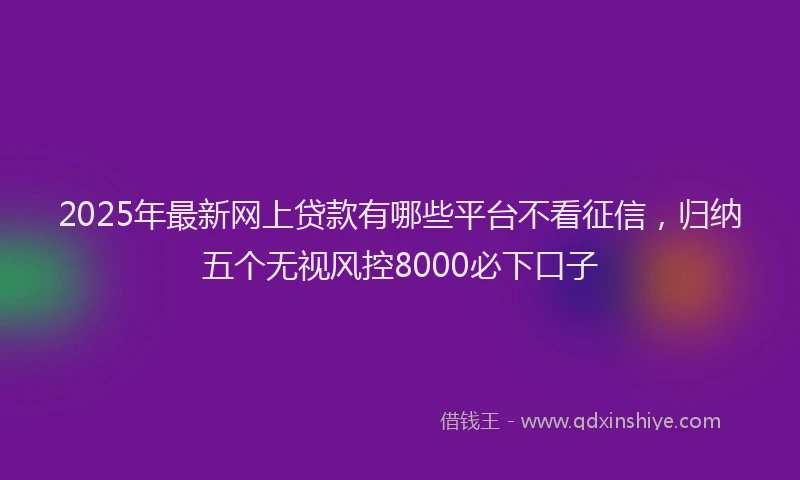 2025年最新网上贷款有哪些平台不看征信，归纳五个无视风控8000必下口子