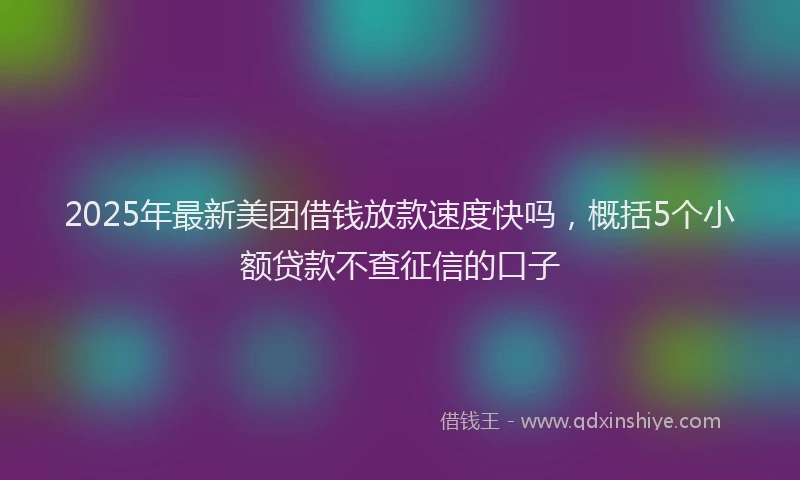 2025年最新美团借钱放款速度快吗，概括5个小额贷款不查征信的口子