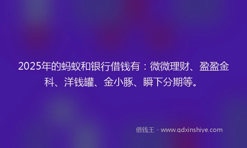 2025年的蚂蚁和银行借钱有：微微理财、盈盈金科、洋钱罐、金小豚、瞬下分期等。