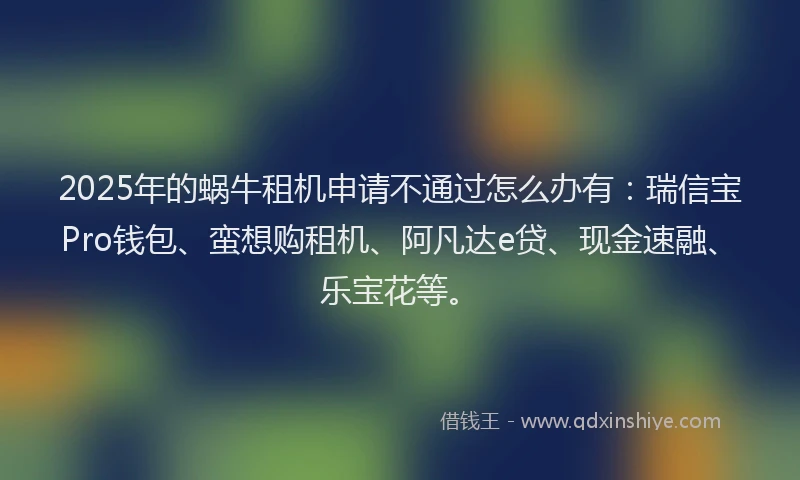 2025年的蜗牛租机申请不通过怎么办有：瑞信宝Pro钱包、蛮想购租机、阿凡达e贷、现金速融、乐宝花等。