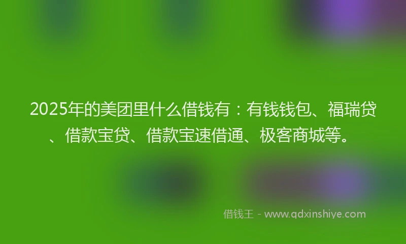 2025年的美团里什么借钱有：有钱钱包、福瑞贷、借款宝贷、借款宝速借通、极客商城等。