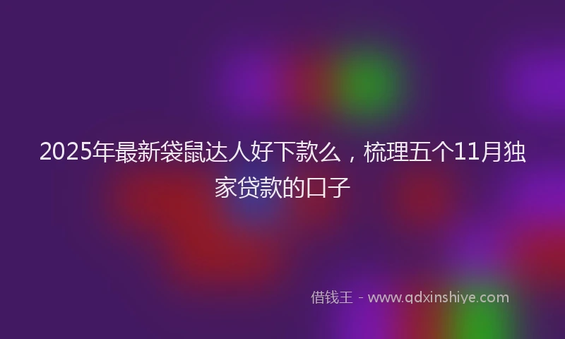 2025年最新袋鼠达人好下款么，梳理五个11月独家贷款的口子