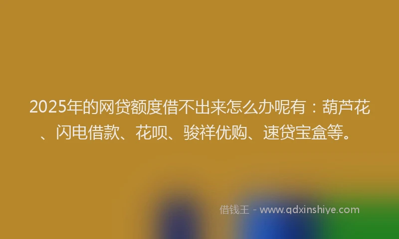 2025年的网贷额度借不出来怎么办呢有：葫芦花、闪电借款、花呗、骏祥优购、速贷宝盒等。