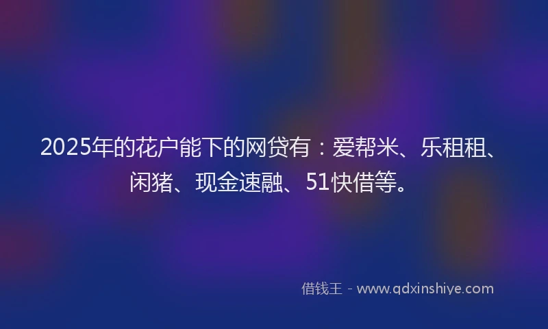 2025年的花户能下的网贷有：爱帮米、乐租租、闲猪、现金速融、51快借等。