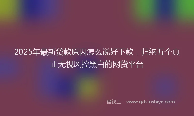 2025年最新贷款原因怎么说好下款，归纳五个真正无视风控黑白的网贷平台