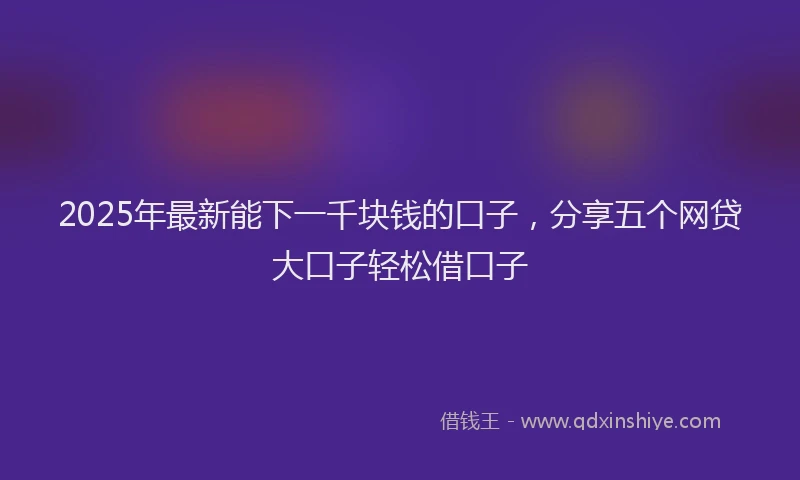 2025年最新能下一千块钱的口子，分享五个网贷大口子轻松借口子