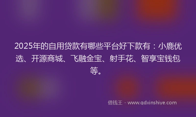 2025年的自用贷款有哪些平台好下款有：小鹿优选、开源商城、飞融金宝、射手花、智享宝钱包等。