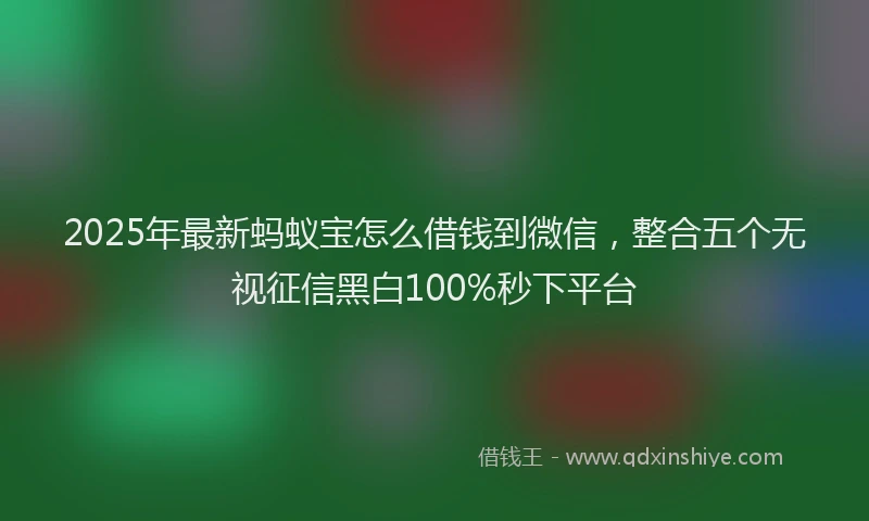 2025年最新蚂蚁宝怎么借钱到微信，整合五个无视征信黑白100%秒下平台