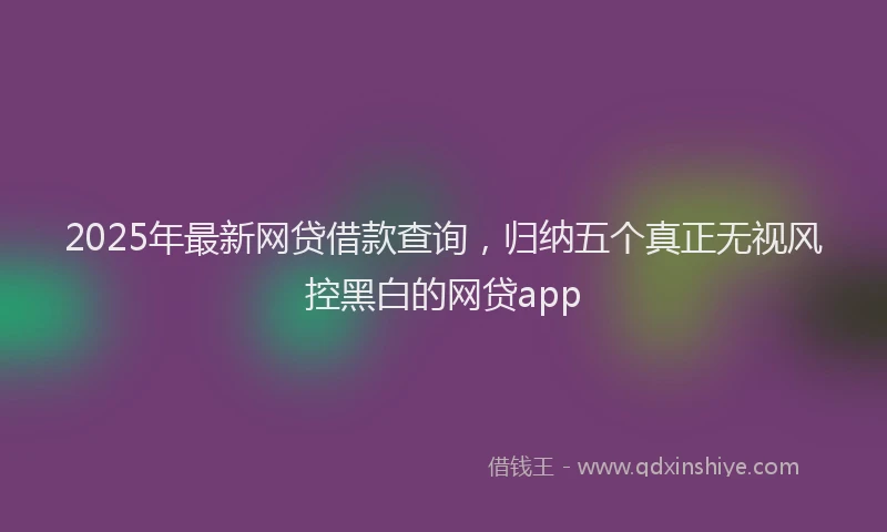 2025年最新网贷借款查询，归纳五个真正无视风控黑白的网贷app