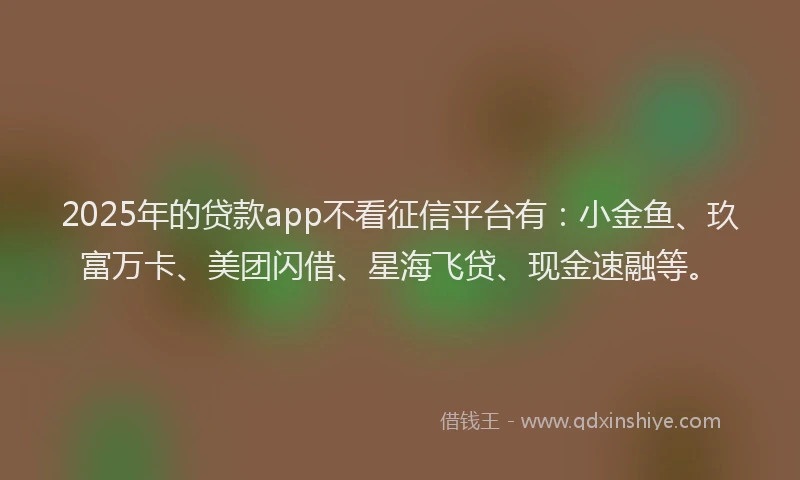 2025年的贷款app不看征信平台有：小金鱼、玖富万卡、美团闪借、星海飞贷、现金速融等。
