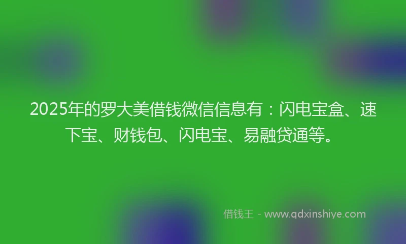 2025年的罗大美借钱微信信息有：闪电宝盒、速下宝、财钱包、闪电宝、易融贷通等。
