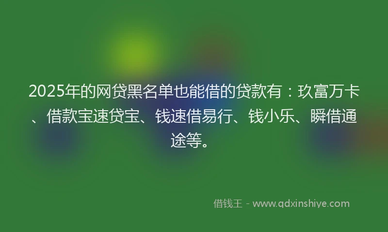 2025年的网贷黑名单也能借的贷款有：玖富万卡、借款宝速贷宝、钱速借易行、钱小乐、瞬借通途等。