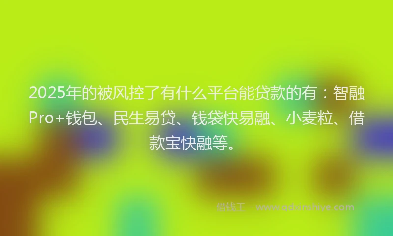 2025年的被风控了有什么平台能贷款的有：智融Pro+钱包、民生易贷、钱袋快易融、小麦粒、借款宝快融等。