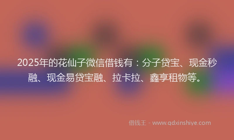 2025年的花仙子微信借钱有：分子贷宝、现金秒融、现金易贷宝融、拉卡拉、鑫享租物等。