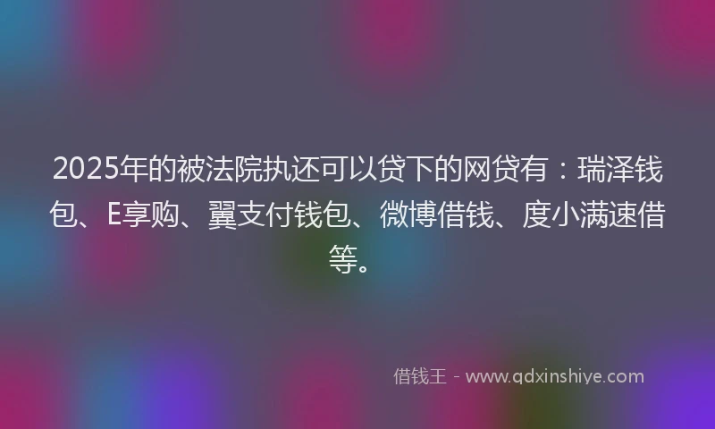 2025年的被法院执还可以贷下的网贷有：瑞泽钱包、E享购、翼支付钱包、微博借钱、度小满速借等。