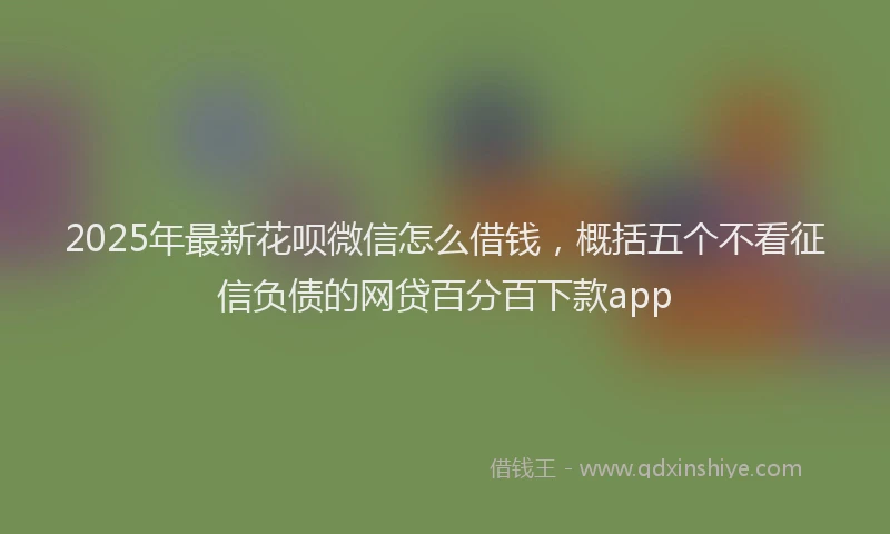 2025年最新花呗微信怎么借钱，概括五个不看征信负债的网贷百分百下款app
