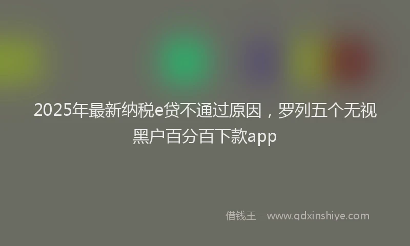 2025年最新纳税e贷不通过原因，罗列五个无视黑户百分百下款app