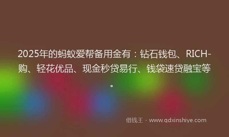 2025年的蚂蚁爱帮备用金有：钻石钱包、RICH-购、轻花优品、现金秒贷易行、钱袋速贷融宝等。