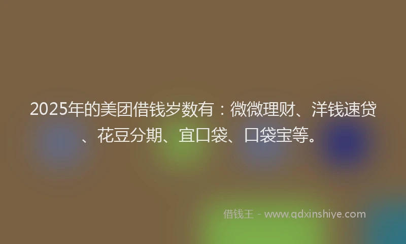 2025年的美团借钱岁数有：微微理财、洋钱速贷、花豆分期、宜口袋、口袋宝等。