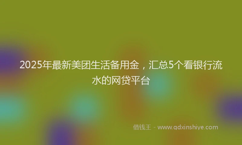 2025年最新美团生活备用金，汇总5个看银行流水的网贷平台