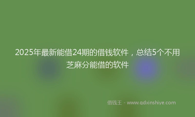 2025年最新能借24期的借钱软件，总结5个不用芝麻分能借的软件