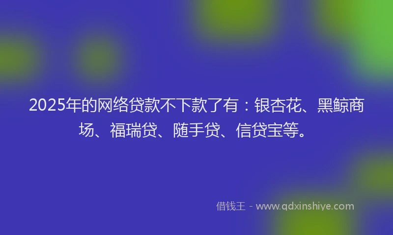 2025年的网络贷款不下款了有：银杏花、黑鲸商场、福瑞贷、随手贷、信贷宝等。