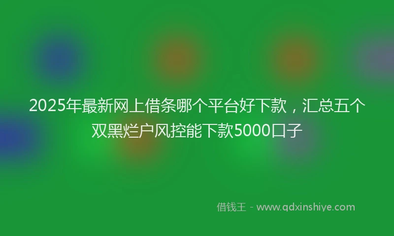 2025年最新网上借条哪个平台好下款，汇总五个双黑烂户风控能下款5000口子