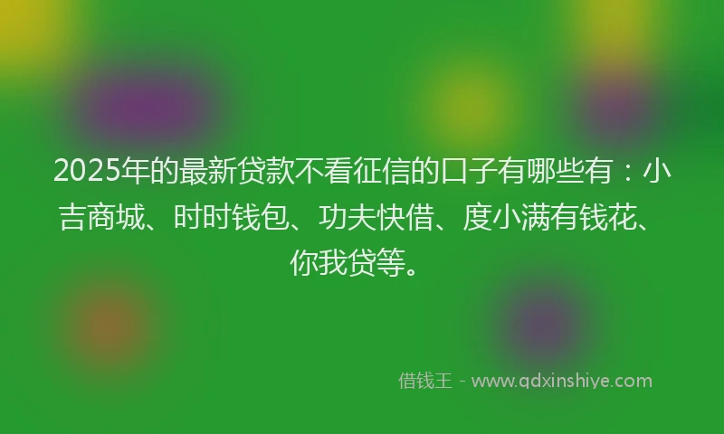 2025年的最新贷款不看征信的口子有哪些有：小吉商城、时时钱包、功夫快借、度小满有钱花、你我贷等。