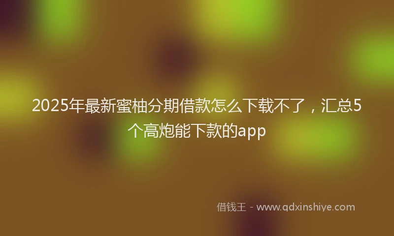 2025年最新蜜柚分期借款怎么下载不了，汇总5个高炮能下款的app