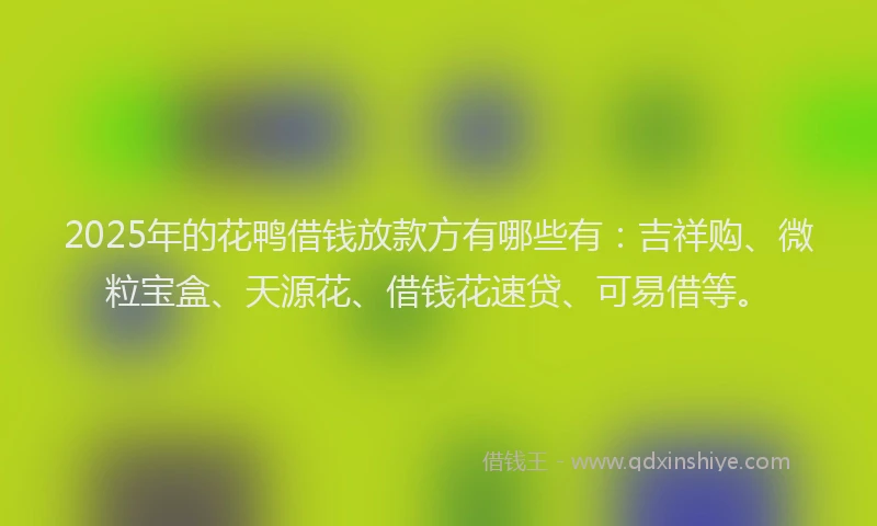 2025年的花鸭借钱放款方有哪些有：吉祥购、微粒宝盒、天源花、借钱花速贷、可易借等。