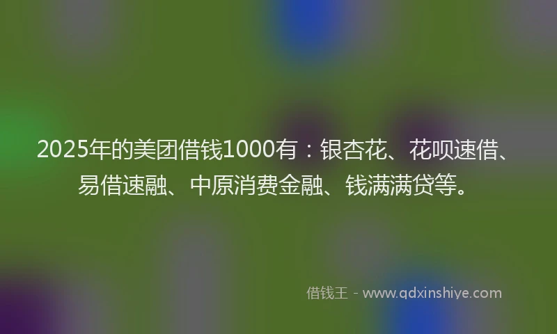 2025年的美团借钱1000有：银杏花、花呗速借、易借速融、中原消费金融、钱满满贷等。