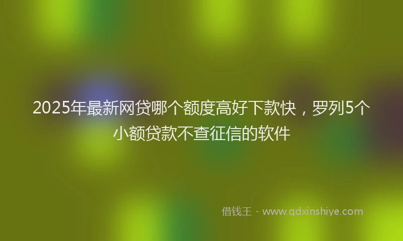 2025年最新网贷哪个额度高好下款快，罗列5个小额贷款不查征信的软件